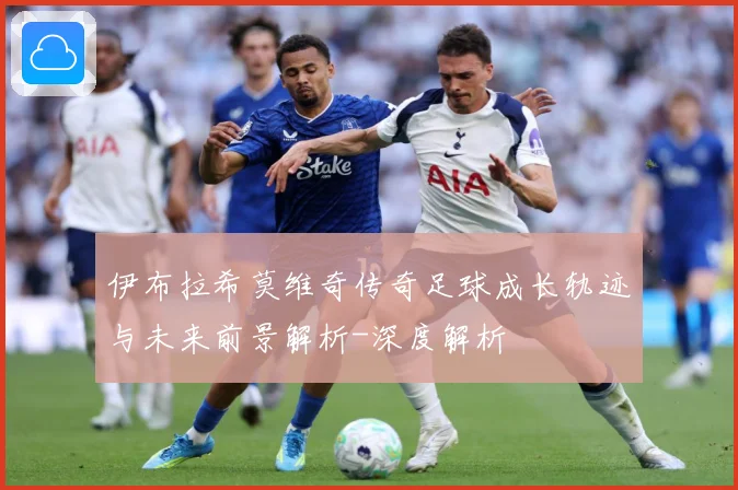 伊布拉希莫维奇传奇足球成长轨迹与未来前景解析-深度解析